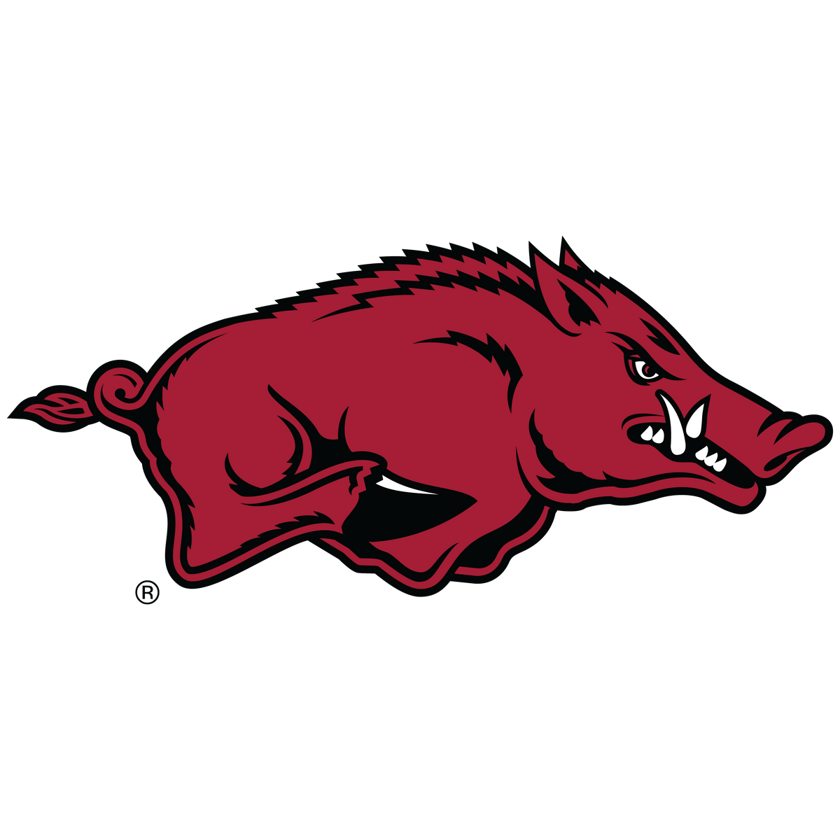 Arkansas Razorbacks | Team Golf