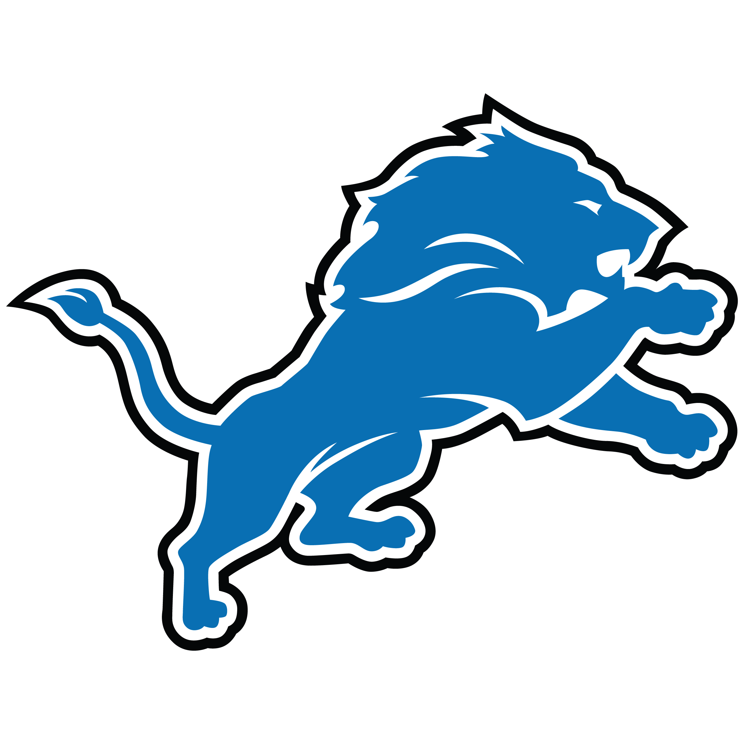 Detroit Lions